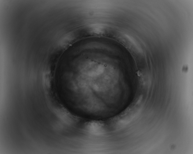 X0000103400223200809121249