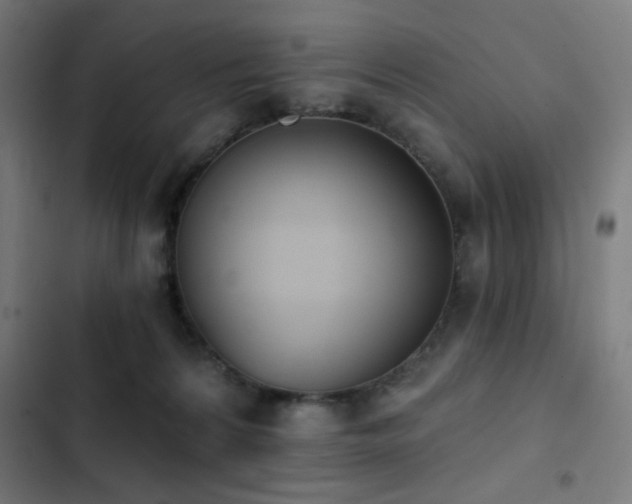 X0000103400224200809121249