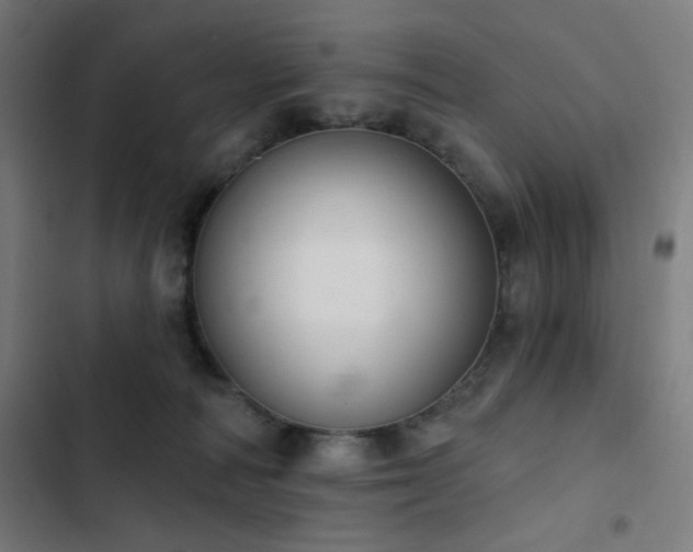 X0000103400226200809121249