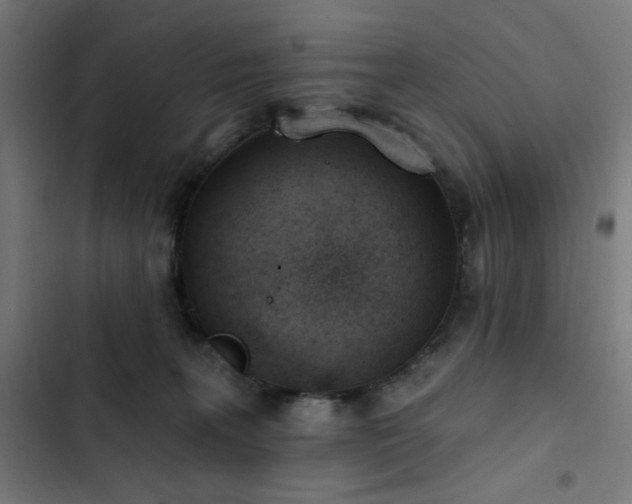 X0000103400227200809121249