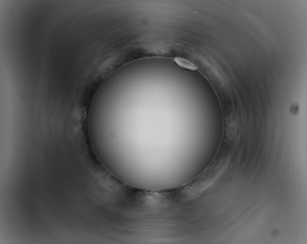 X0000103400229200809121249