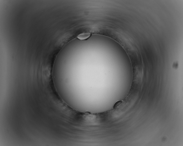 X0000103400230200809121249