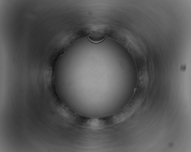 X0000103400231200809121249