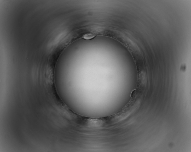 X0000103400234200809121249