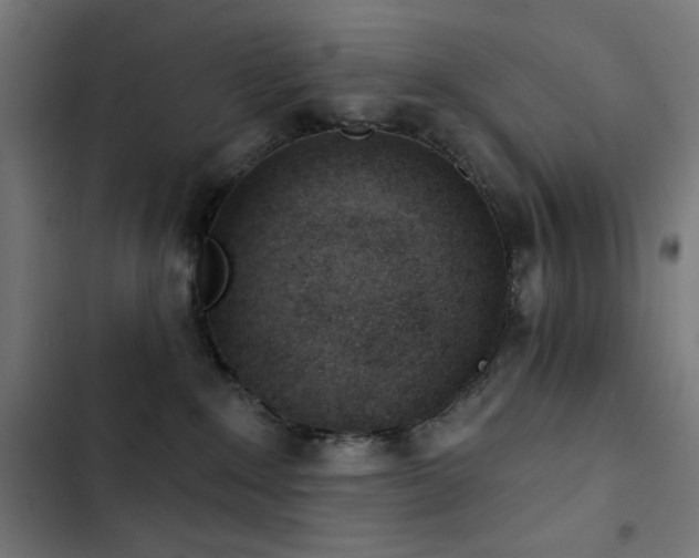 X0000103400235200809121249