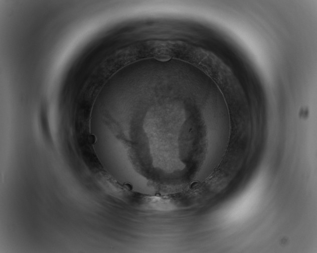 X0000103400239200809121249