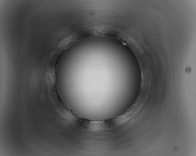 X0000103400240200809121249