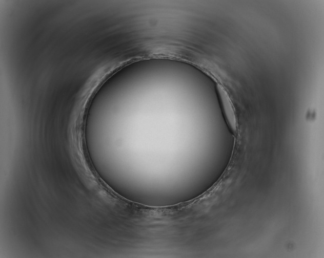 X0000103400241200809121248