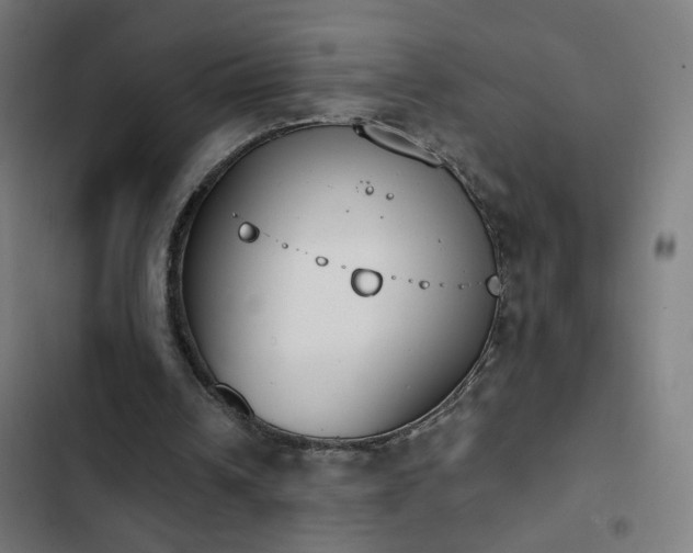 X0000103400242200809121248