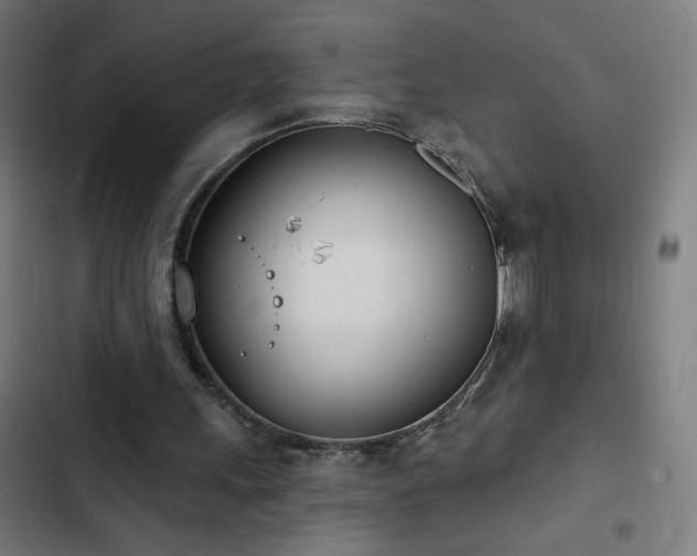 X0000103400243200809121248