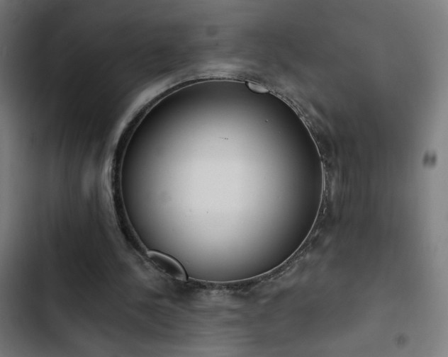 X0000103400244200809121248