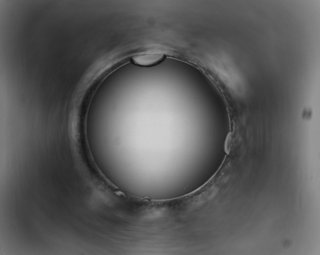 X0000103400247200809121248