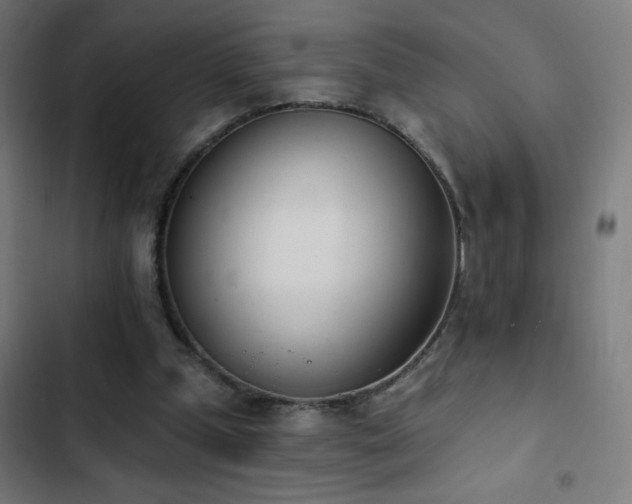 X0000103400249200809121248