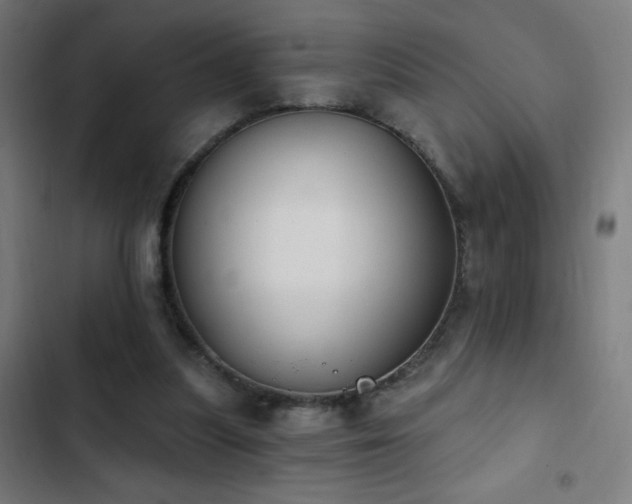 X0000103400251200809121248