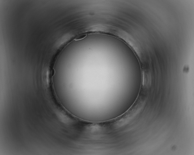 X0000103400253200809121249