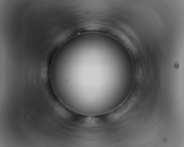 X0000103400261200809121249