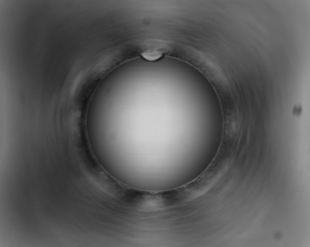 X0000103400263200809121249