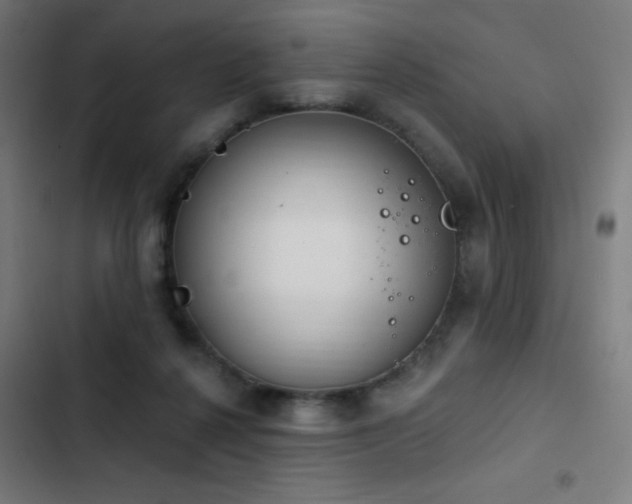 X0000103400264200809121249