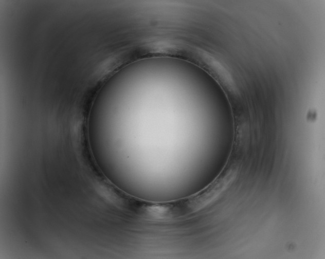 X0000103400265200809121249