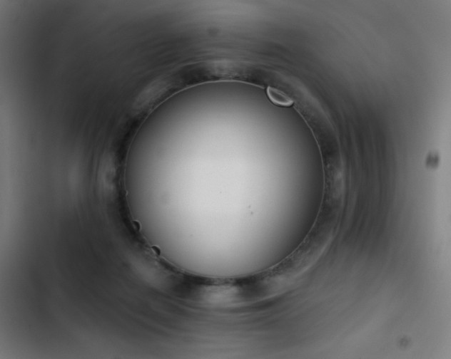 X0000103400266200809121249