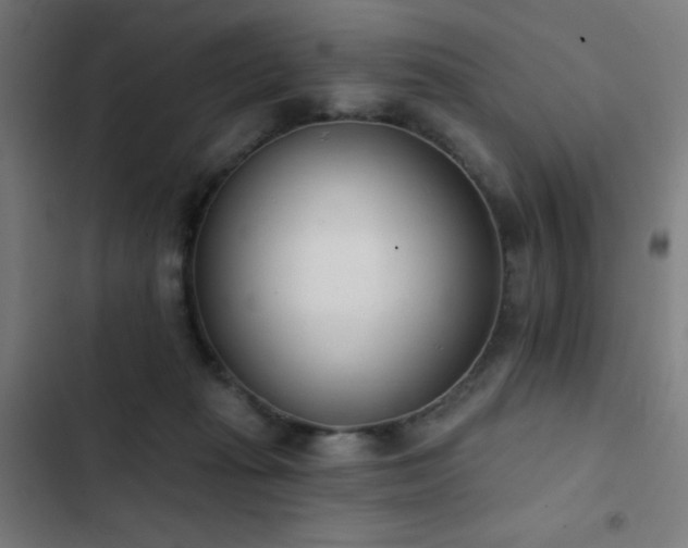 X0000103400269200809121249