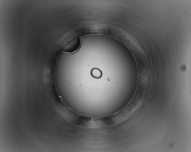 X0000103400270200809121249