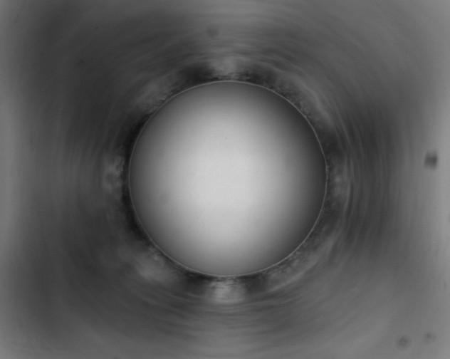 X0000103400275200809121249