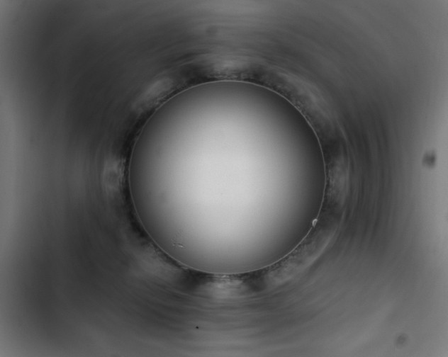 X0000103400278200809121249