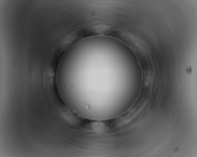 X0000103400279200809121249