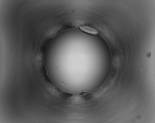 X0000103400280200809121249