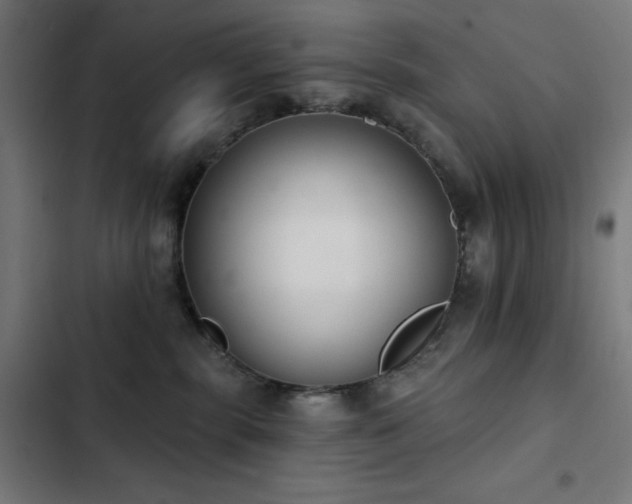 X0000103400283200809121249