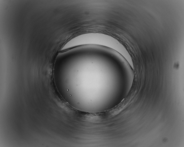 X0000103400284200809121249