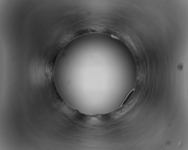 X0000103400285200809121249