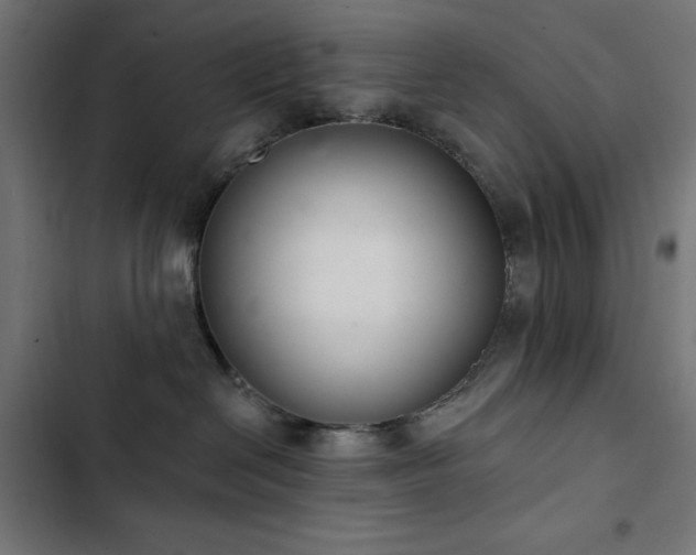 X0000103400286200809121249