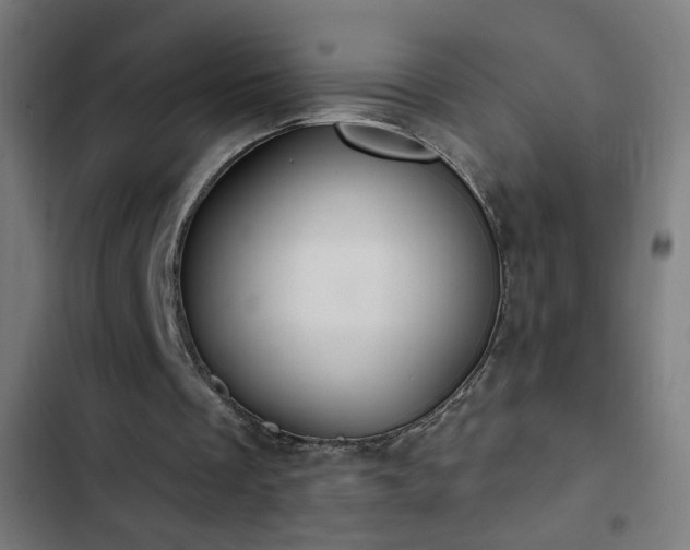 X0000103400289200809121248