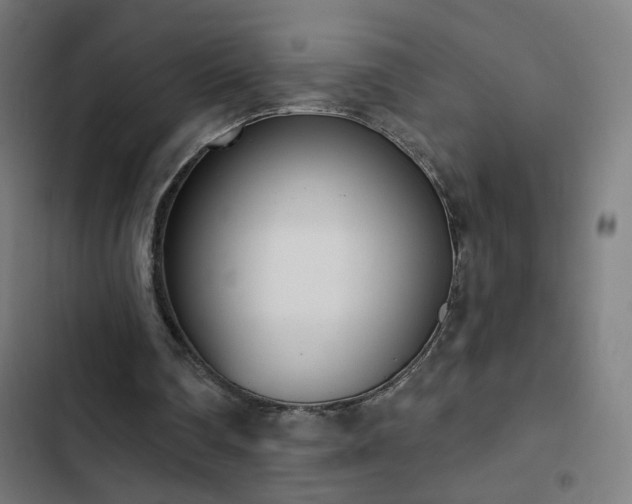 X0000103400290200809121248