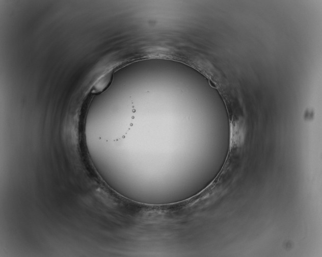 X0000103400291200809121248