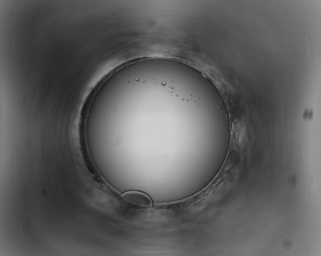 X0000103400292200809121248