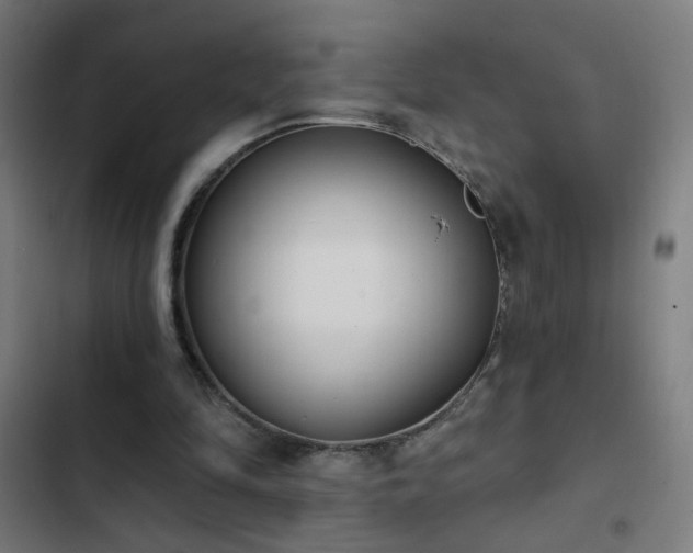 X0000103400294200809121248