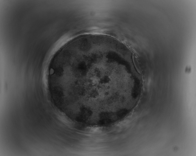 X0000103400295200809121248