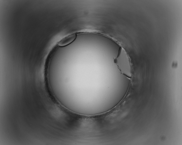 X0000103400296200809121248