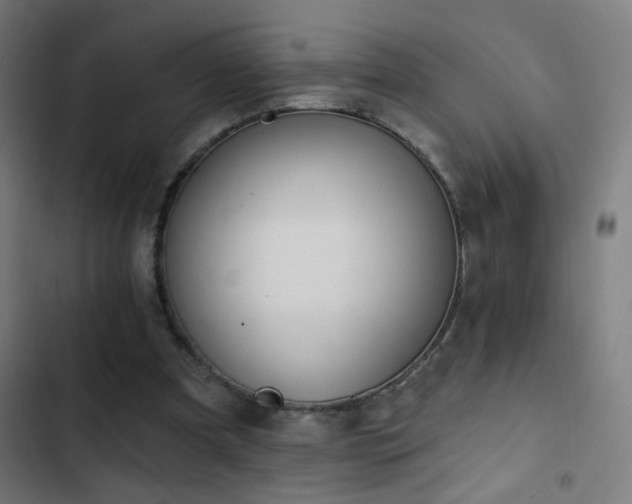 X0000103400297200809121248