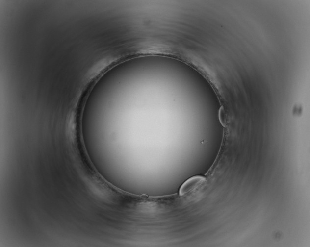 X0000103400298200809121248