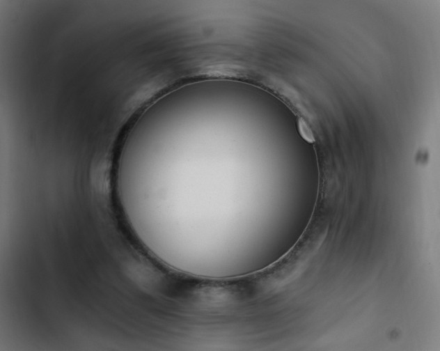 X0000103400299200809121248