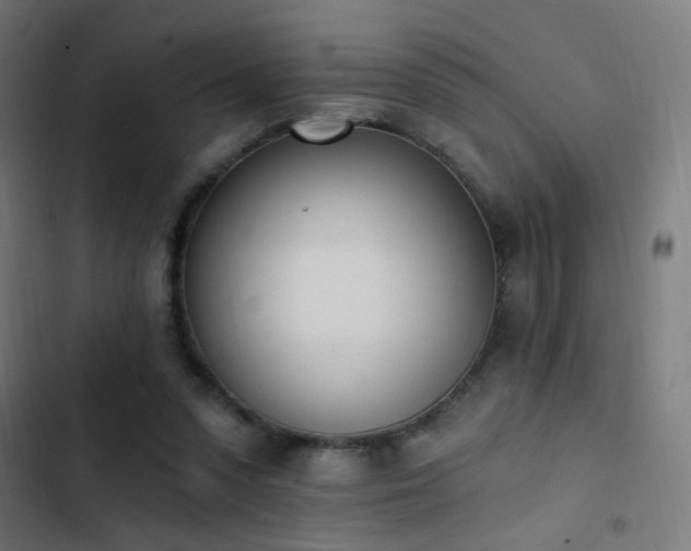 X0000103400303200809121248