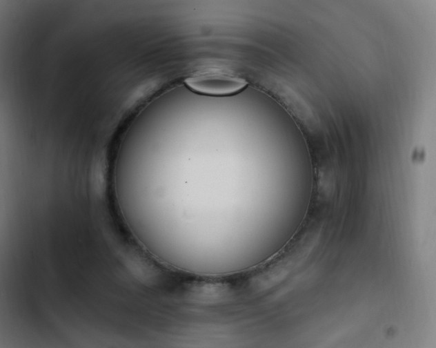 X0000103400304200809121248