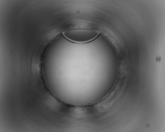 X0000103400305200809121248