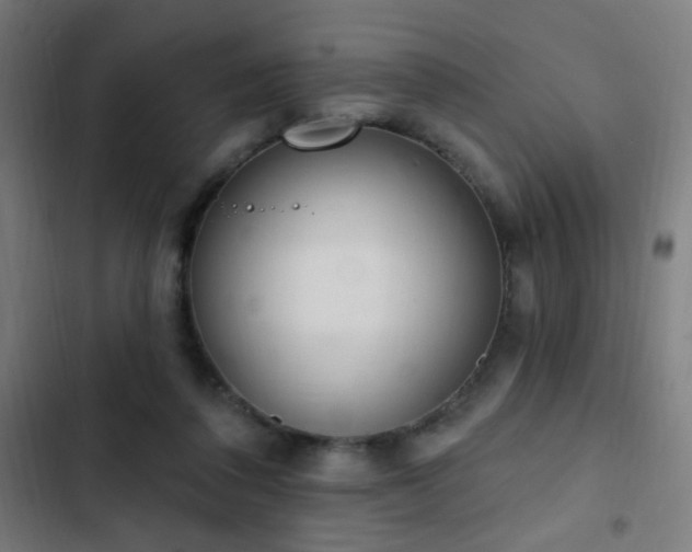 X0000103400308200809121248