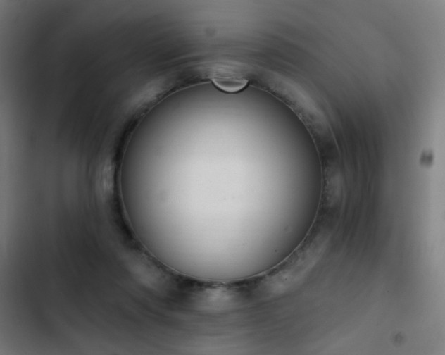 X0000103400310200809121248