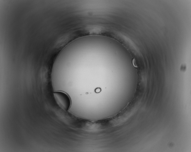 X0000103400311200809121248